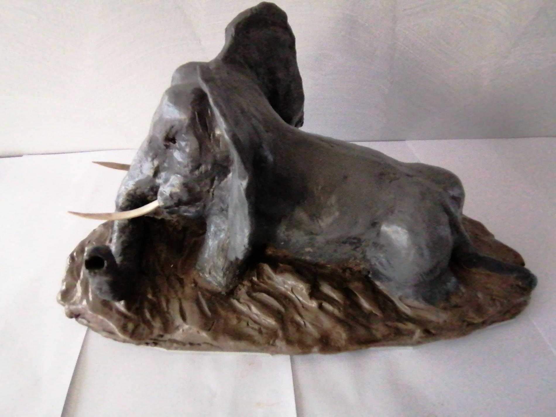 IMG_2020129_171043_BURST001_COVER